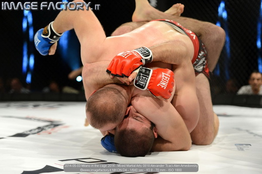 2014-05-03 Milano in the cage 2014 - Mixed Martial Arts 0818 Alexander Tcaci-Alen Amedowsky